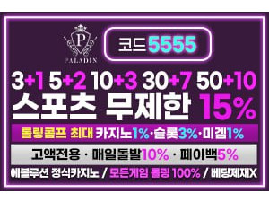 인증된 안전놀이터 팔라딘